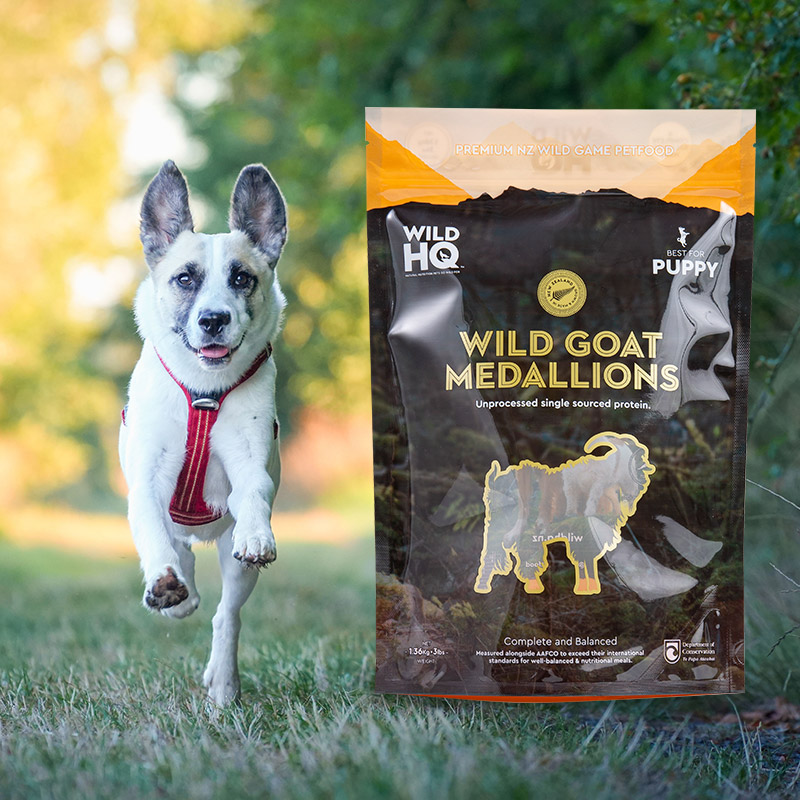 Bolsa stand up de 1-5kg para guloseimas para cães